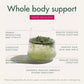 WelleCo The Super Elixir Daily Greens Powder – Probiotic Drink Mix (300g, Mixed Berry)